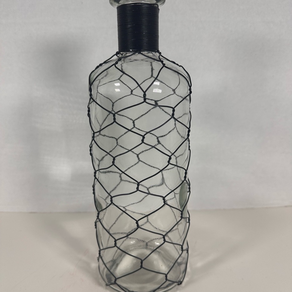 Share Glass Decorative 11" Vase Wrapped in Chicken Wire
